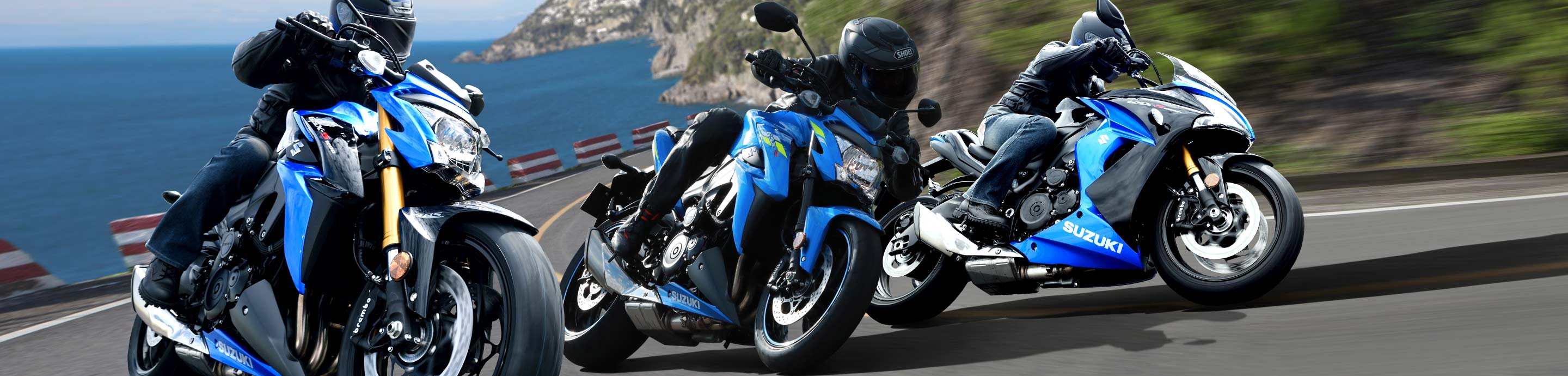 Suzuki GSXR 1000 Carena